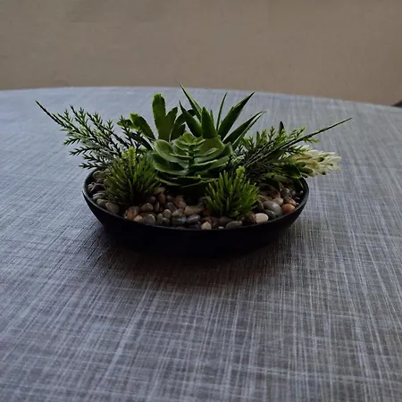 Apartmán Mirna Vir